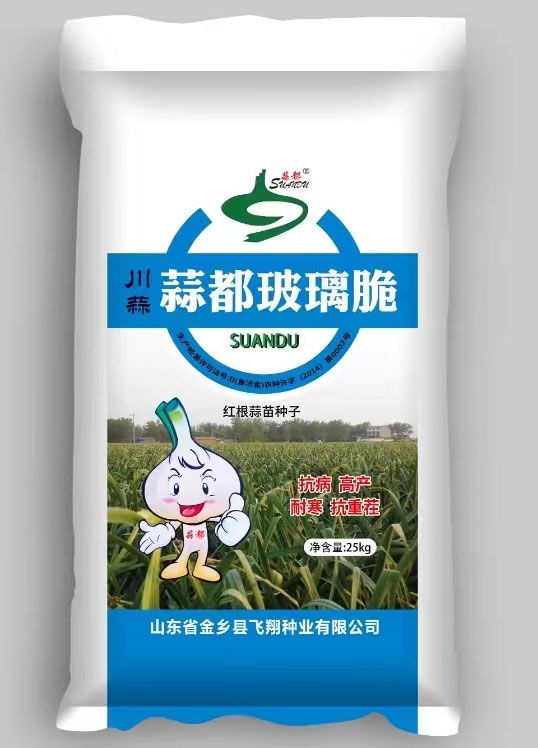 大蒜種子批發(fā)市場